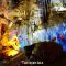 غار تین کونگ در خلیج هالونگ ویتنام